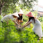 Hoi An Hidden Gem: Vietnamese Coffee Making x Local Herbal - What Makes This Tour Special
