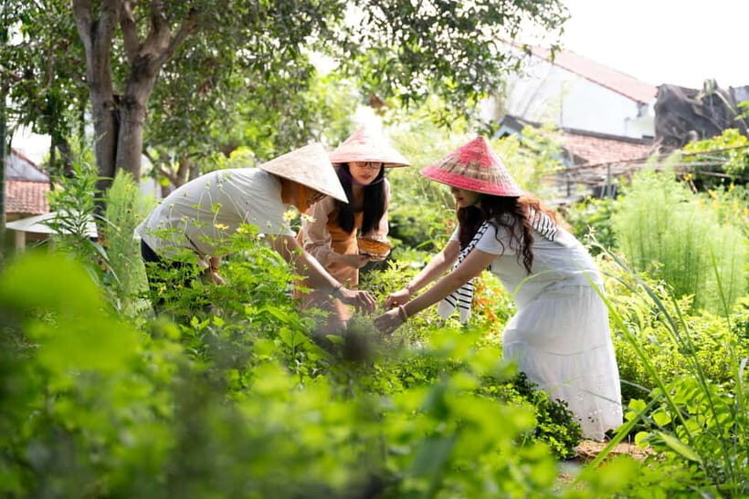 Hoi An Hidden Gem: Vietnamese Coffee Making x Local Herbal - What Makes This Tour Special