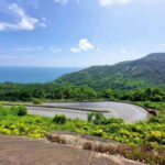 Hoi An To Hue via Hai Van Pass & Sightseeing by Easy Rider - What To Expect on This Tour