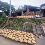 HoiAn: Hidden Heart of the City Walking Private Tour - Exploring the Itinerary in Detail