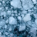 Hokkaido-2 Day Tour to Icebreaker Mombetsu and Asahiyama Zoo - Analyzing the Value and Practicalities