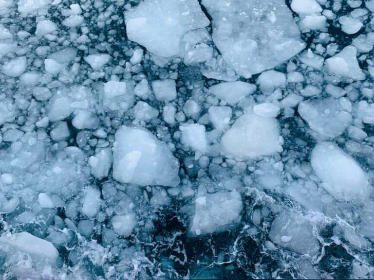 Hokkaido-2 Day Tour to Icebreaker Mombetsu and Asahiyama Zoo - Analyzing the Value and Practicalities