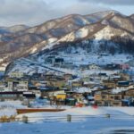 Hokkaido Niseko Ski Day Tour - What to Expect on the Tour
