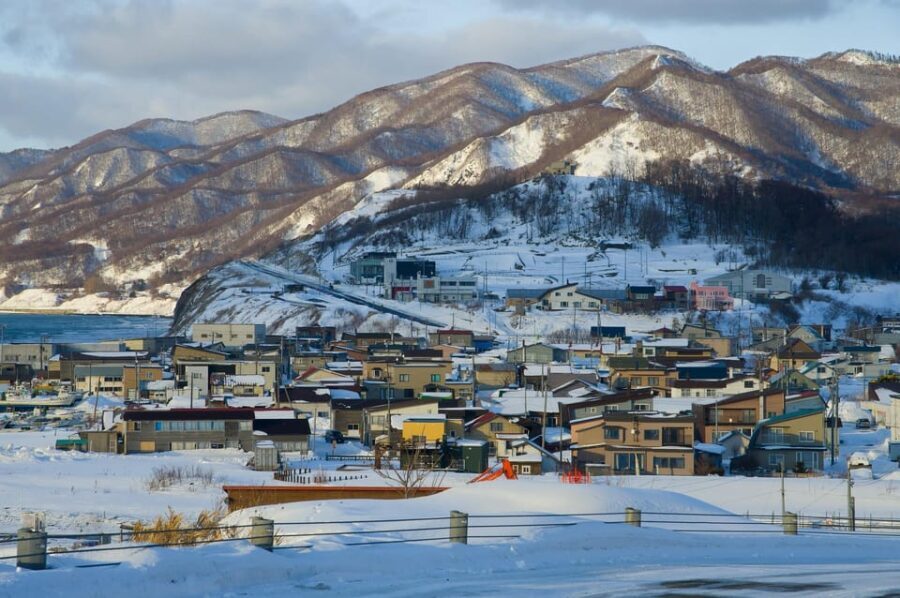 Hokkaido Niseko Ski Day Tour - What to Expect on the Tour