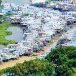 Hong Kong: Boat and NP360 Cable Car or Tai O Day Pass - Value for Money and Overall Impression