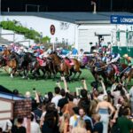 Hong Kong Jockey Club Racecourse Guided Tour with F&B - Sha Tin Racecourse: The Modern Colossus