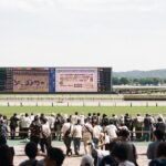Horse Racing Tour with Local Fans in Tokyo - Who Will Love This Tour?