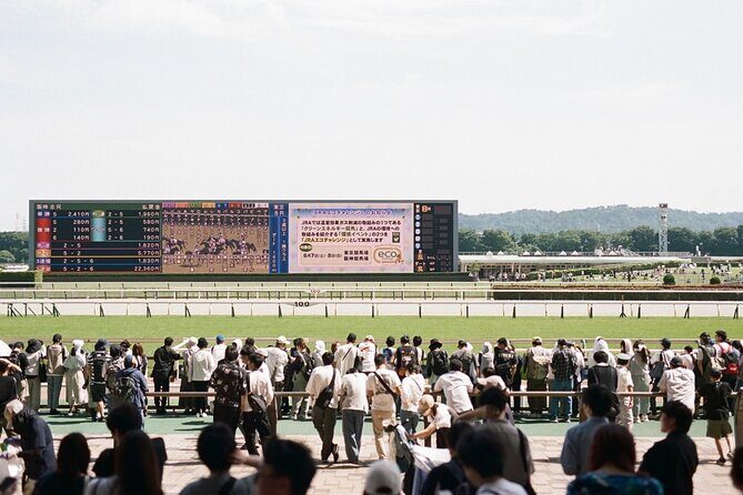 Horse Racing Tour with Local Fans in Tokyo - Who Will Love This Tour?