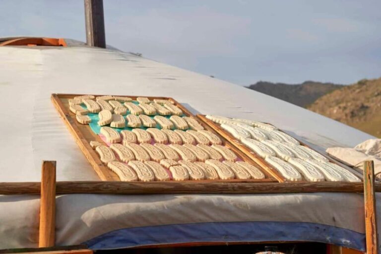 Horse riding experience in Terelj National park 1 day - What Makes This Tour Special?