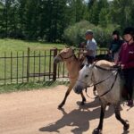 Horse riding in Terelj National Park - Why This Tour Stands Out