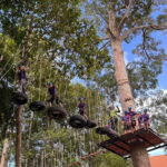Hua Hin Tree Top Zipline Adventure and Canopy Rope Challenge - The Course Breakdown