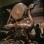 Hubei Provincial Museum 2 Hour Guided Tour - What to Expect from the Tour