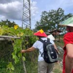 Hue 1 Day Tour: Be a Farmer at La Chu Village - The Farming Activities: More Than Just a Photo Opportunity