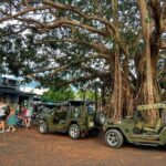 Hue To Hoi An By Jeep Via Hai Van Pass - What’s Included & What’s Not