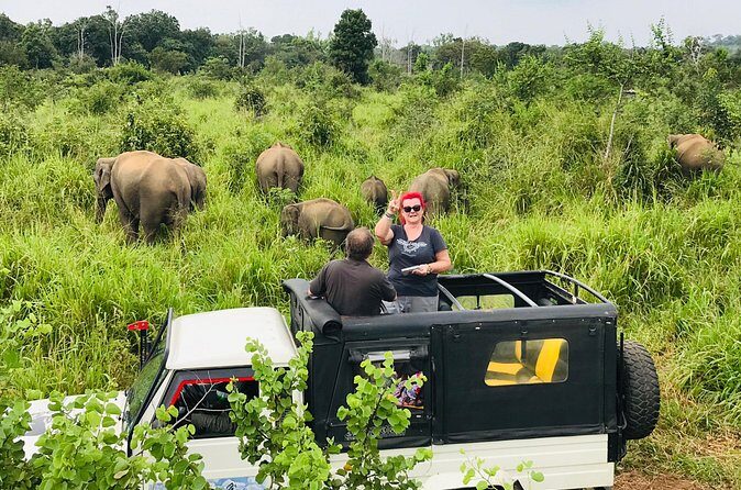 Hurulu Eco Park Half Day Safari