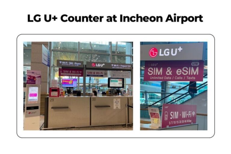 Incheon Airport: Traveler SIM & T-money Transportation Card - Detailed Breakdown of the Experience