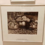 Indira Gandhi Museum: Indias 1st Woman Prime Minister - What Makes This Tour Special