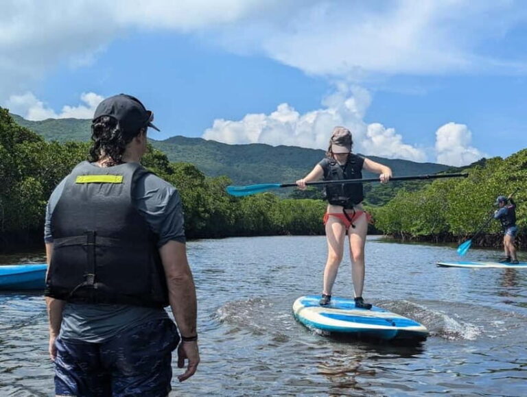 Iriomote island: Mangrove River SUP or Canoe Cruising Tour - Who Is This Tour Best For?