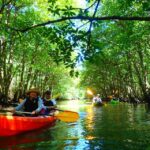 Iriomote Island: SUP or Canoeing and Canyoning Tour - Who Will Love This Tour?