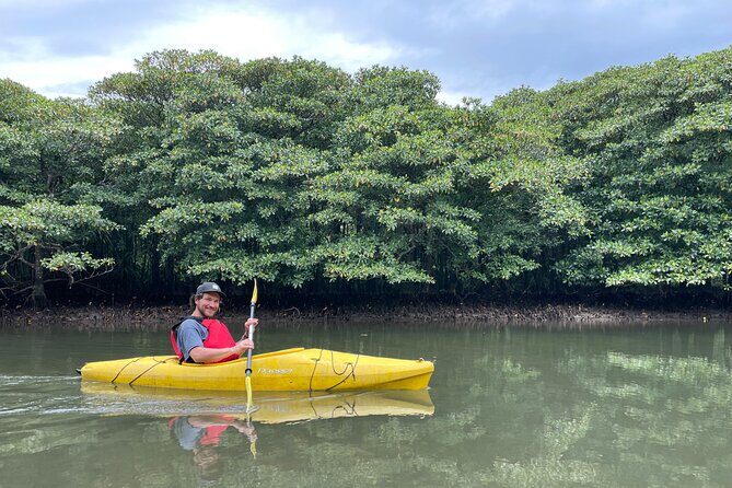 Iriomotes Adventure: Pinaisara Falls Canoe and Trekking Tour - Final Thoughts: Is It Worth It?