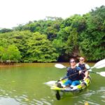 Ishigaki Island: 2-Hour Miyara River SUP or Canoeing Tour - Why This Tour Works Well