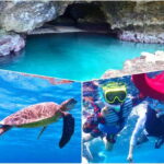 Ishigaki Island: Blue Cave Exploration & Snorkeling Tour - Why This Tour Works Well for You