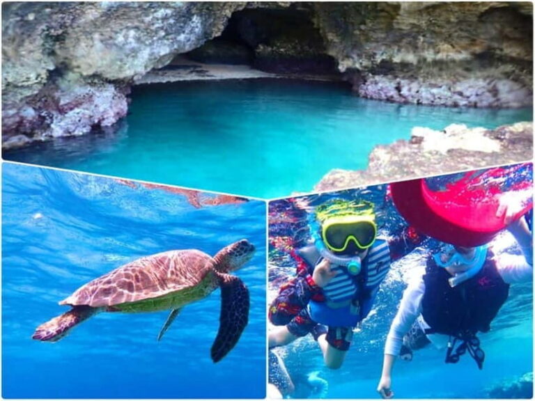 Ishigaki Island: Blue Cave Exploration & Snorkeling Tour - Why This Tour Works Well for You