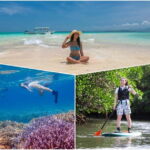 Ishigaki: Mangrove SUP or Canoe & Phantom Island Snorkeling - What Makes This Tour Special?