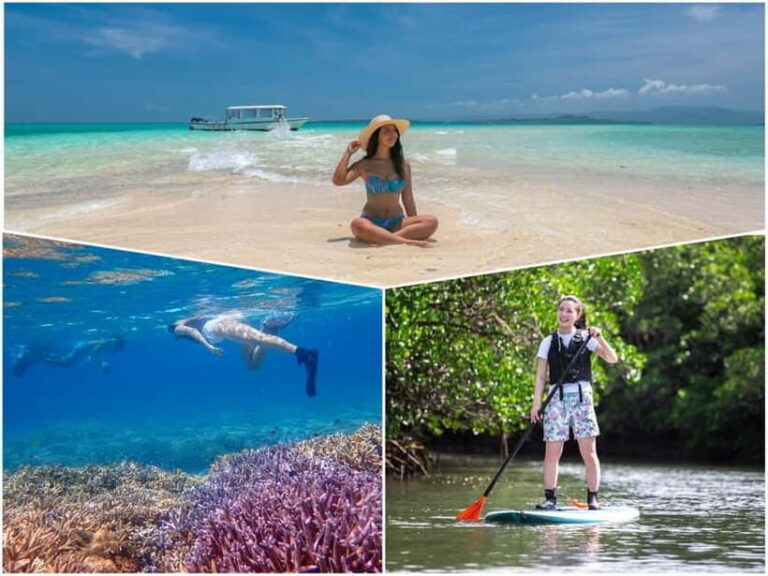 Ishigaki: Mangrove SUP or Canoe & Phantom Island Snorkeling - What Makes This Tour Special?