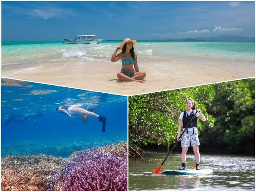 Ishigaki: Mangrove SUP or Canoe & Phantom Island Snorkeling - What Makes This Tour Special?