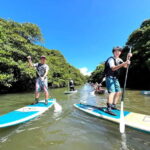 Ishigaki: Mangrove SUP or Canoe Tour  Taketomi Sightseeing - Practical Details and What to Expect