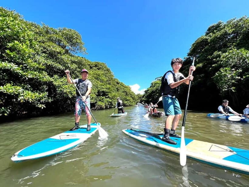 Ishigaki: Mangrove SUP or Canoe Tour  Taketomi Sightseeing - Practical Details and What to Expect