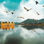 Jaipur: Amber Fort, Stepwell & Jal Mahal with Pickup - The Practical Side: Tour Details and What You’ll Gain