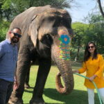 Jaipur: Elephant Interaction Tour - The Value of the Jaipur Elephant Interaction Tour