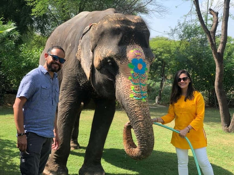 Jaipur: Elephant Interaction Tour - The Value of the Jaipur Elephant Interaction Tour
