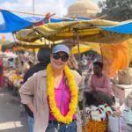 Jaipur: Half-Day City Tour - Explore Heritage & Highlights - The Sum Up