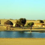 Jaipur: Private - Khimsar Desert Safari Day Trip with Guide - Who Is This Tour Best For?