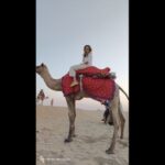 Jaipur to Puskar Same Day trip - Practical Aspects & Value