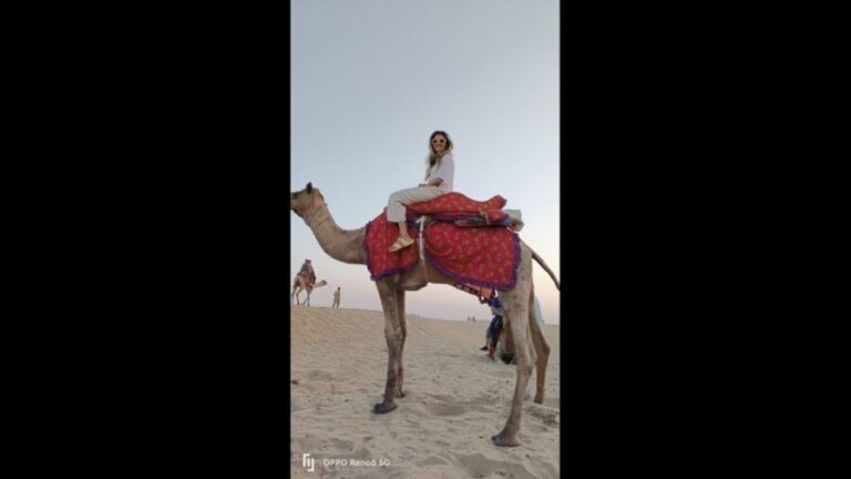 Jaipur to Puskar Same Day trip - Practical Aspects & Value