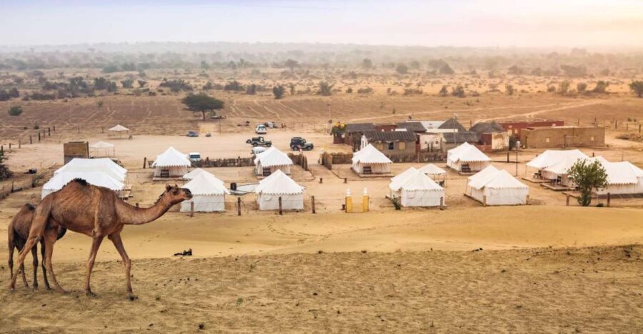 Jaisalmer: 2 Days Adventure in the Thar Desert - The Experience: Deep Dive into the Highlights