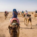 Jaisalmer Sam: Sunset Camel Safari & Cultural Program - What to Expect: An In-Depth Look