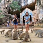 James Bond Island Sightseeing(No Canoeing) Tour by Longtail Boat from Phuket - What the Reviews Say