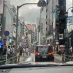 Japan: Tokyo and Countryside Private Tour with Guide - Serenity in the Countryside