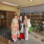 Japanese Traditional Entertainment Experience in Tokyo - What Makes This Experience Stand Out?