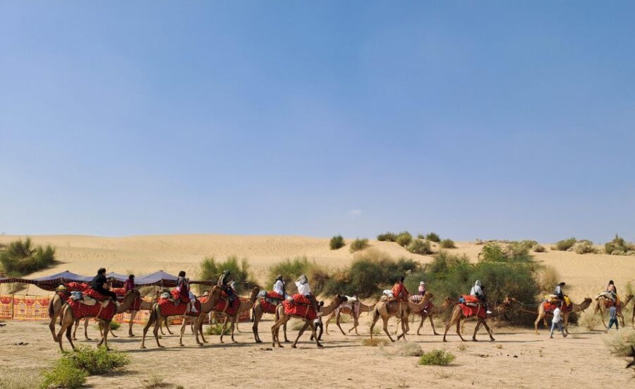 Jeep & Camel Ride, Musical Evening in The Desert Luxury Camp - Authenticity & Real-Life Insights