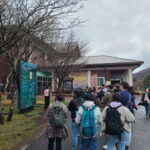 Jeju: Cherry Blossom South & West Day Tour with Hotel Pickup - An In-Depth Look at the Itinerary