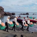 Jeju: Customized Private Vehicle Day Tour - Who Should Book This Tour?