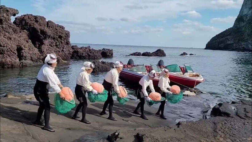 Jeju: Customized Private Vehicle Day Tour - Who Should Book This Tour?