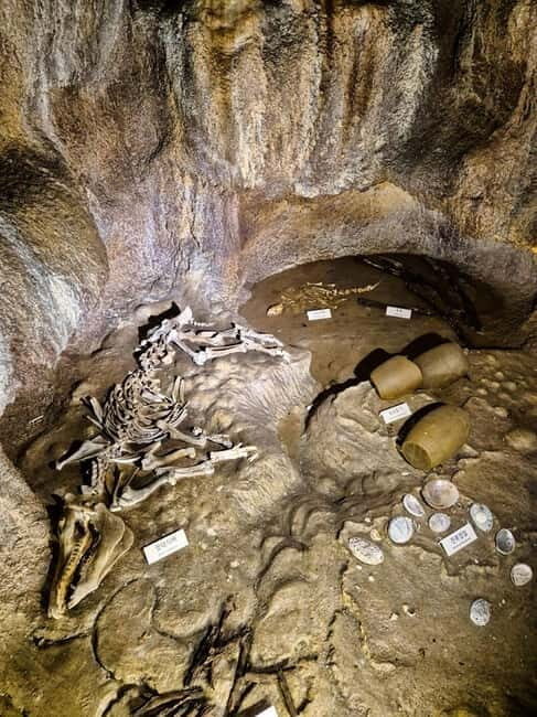 Jeju: customized shore excursions for up to 7 people - Cultural & UNESCO Highlights