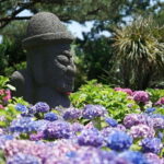 Jeju Hydragea Festival Tour : EAST Route - Exploring Jeju’s East Route: The Itinerary Breakdown